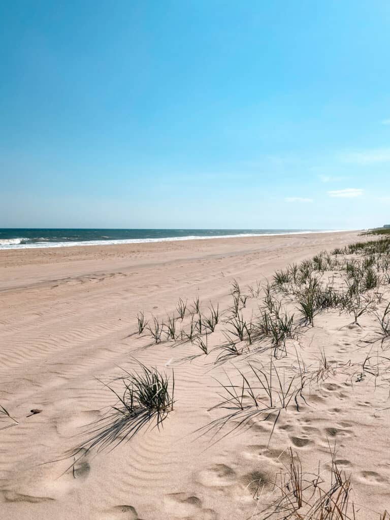 hamptons beach