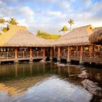 humuhumu_maui
