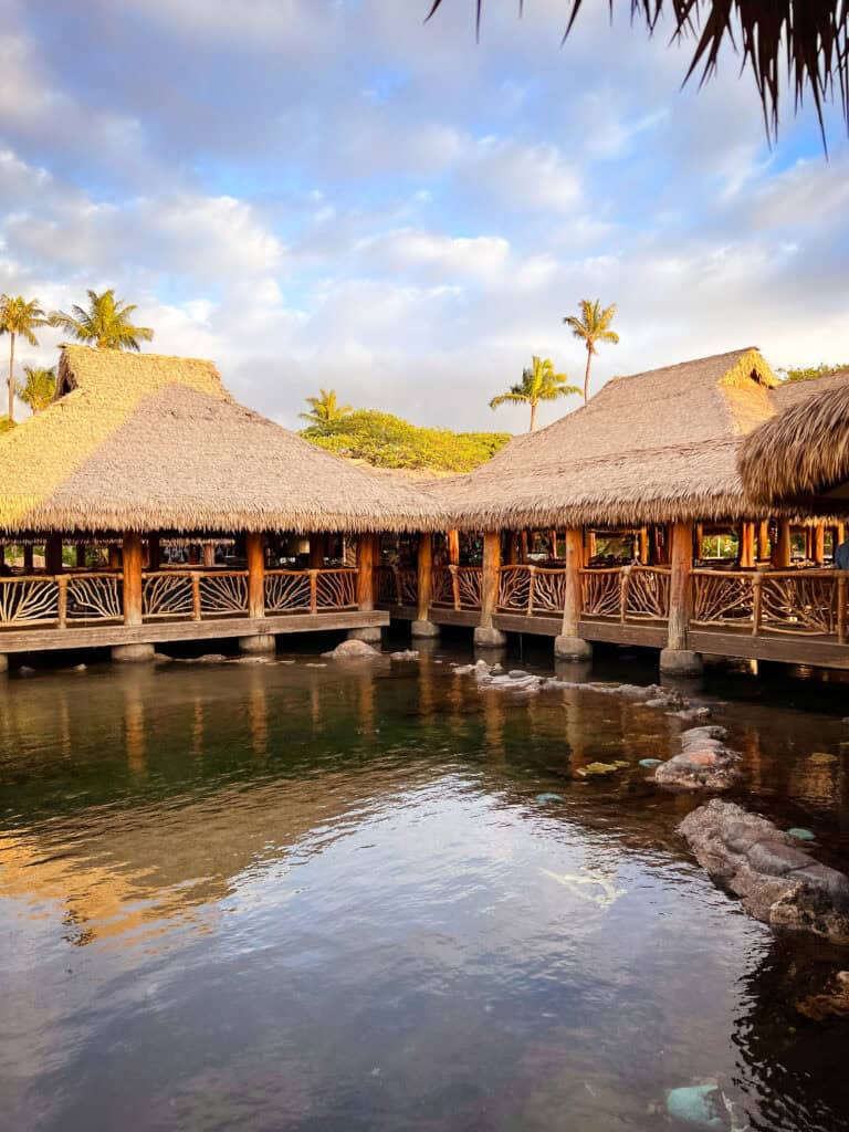 humuhumu_maui