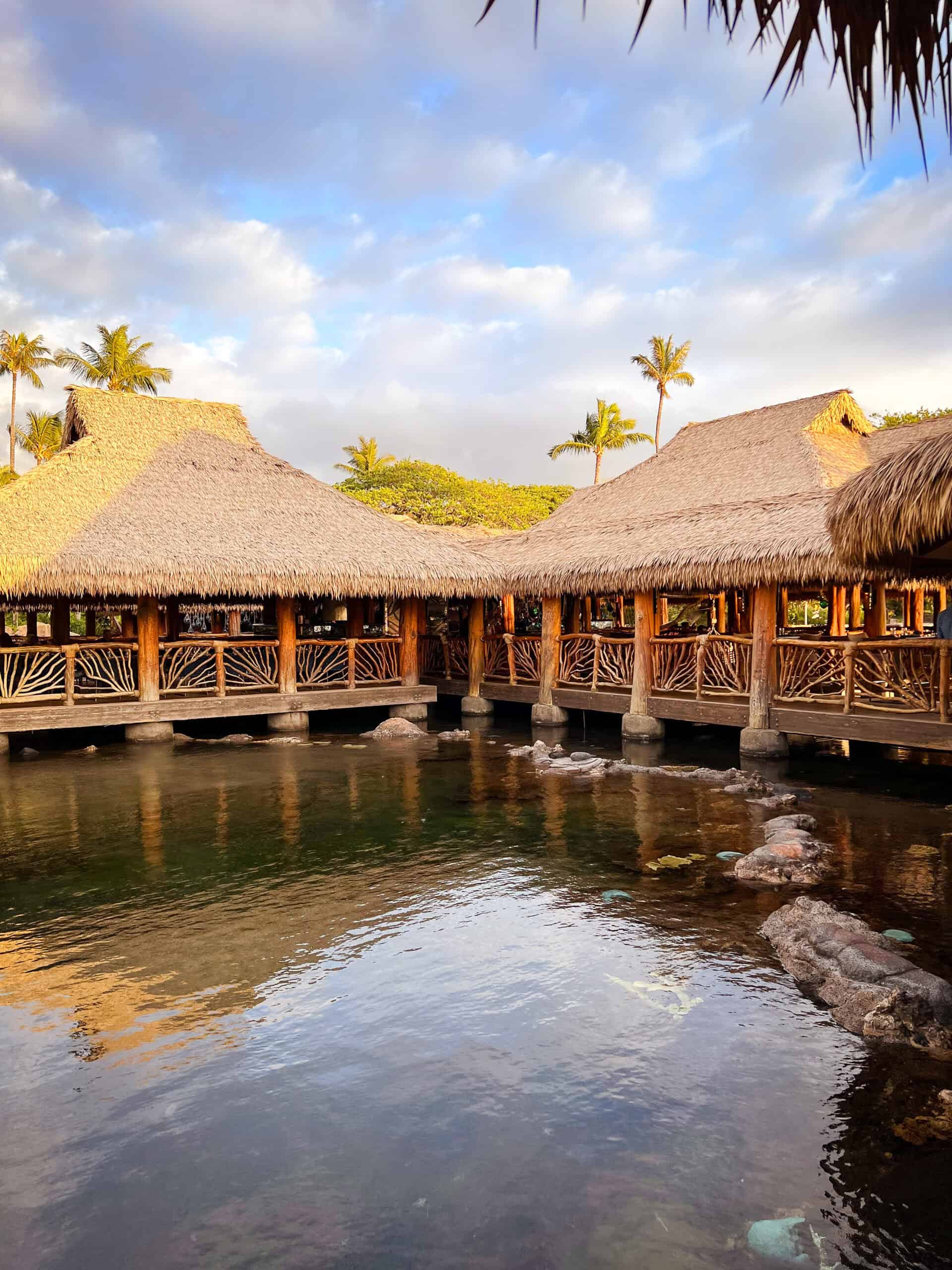 humuhumu_maui