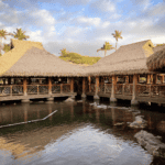 restaurants in maui