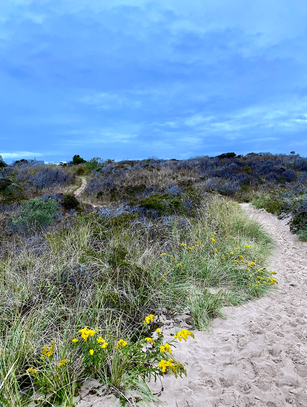 public beaches in the hamptons